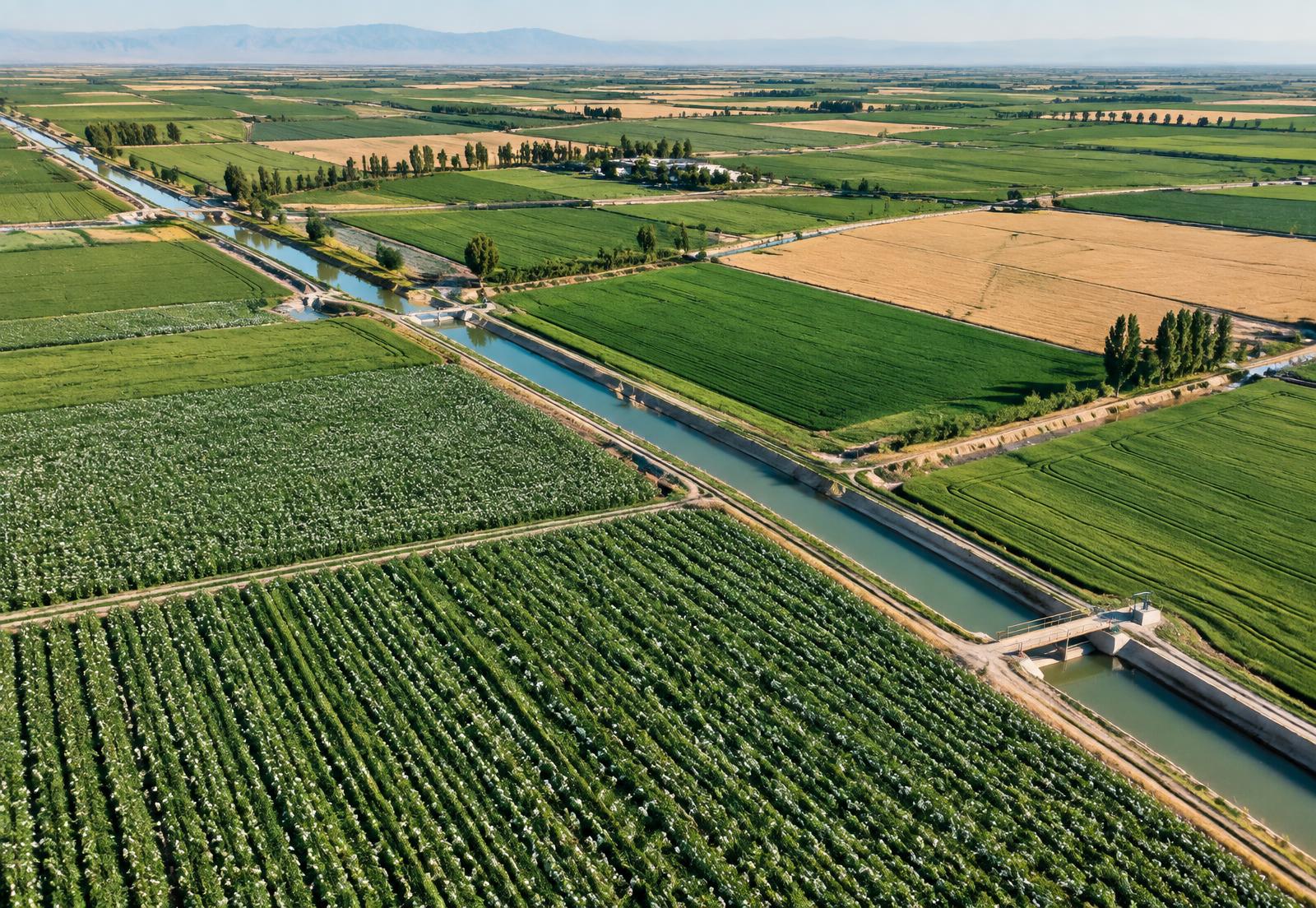 Aerial view of irrigated farmland